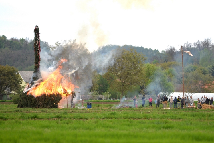 vuzemnica