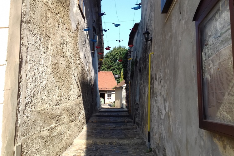 varazdin 3