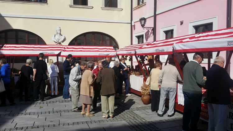 Varaždinska županija