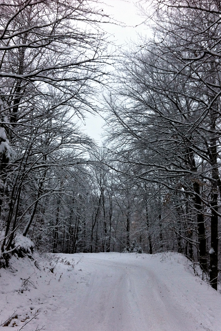 Ivanščica