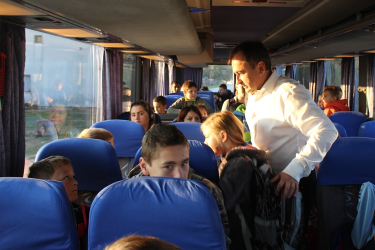 bilić