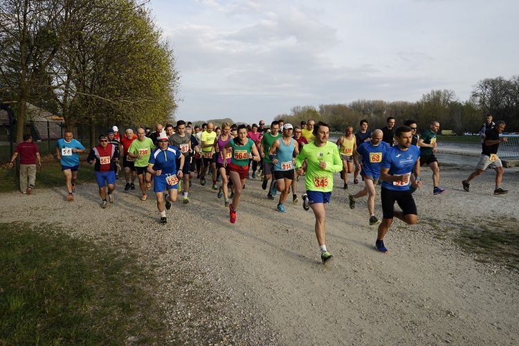 Cross liga Drava