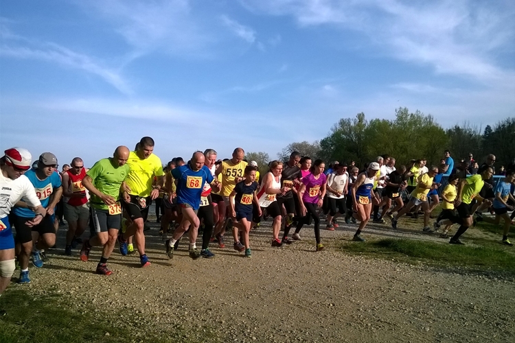 Cross liga Drava