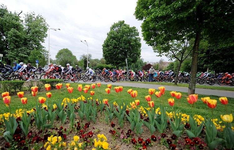 Tour of Croatia