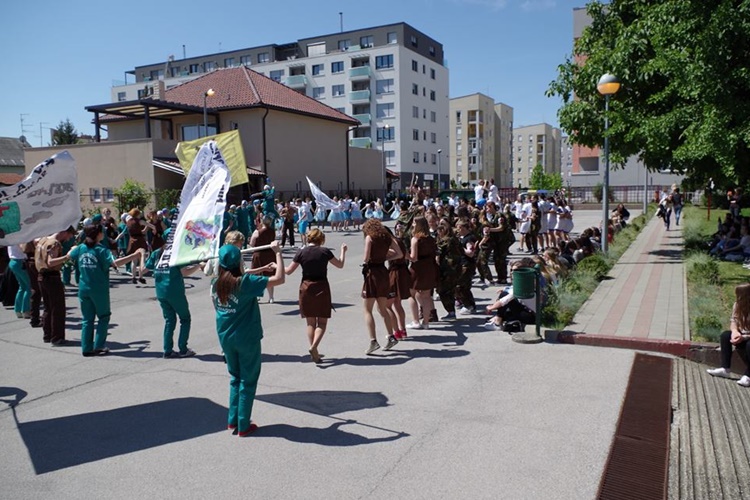 medicinska