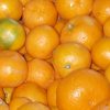 mandarine