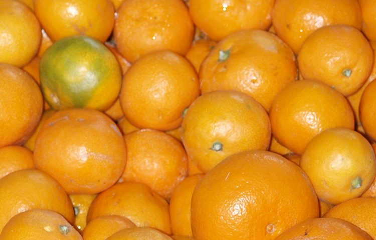 mandarine