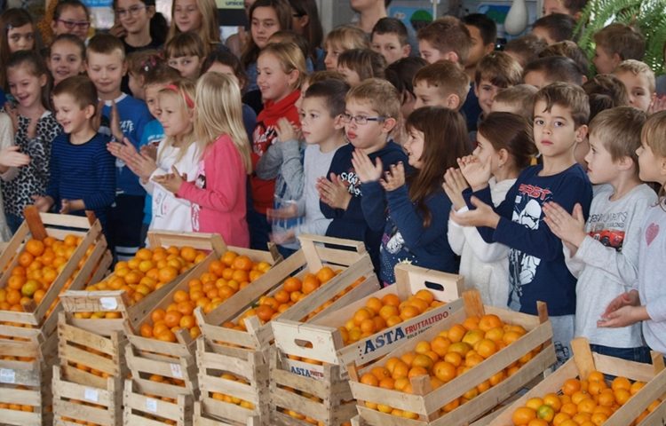 škola mandarine