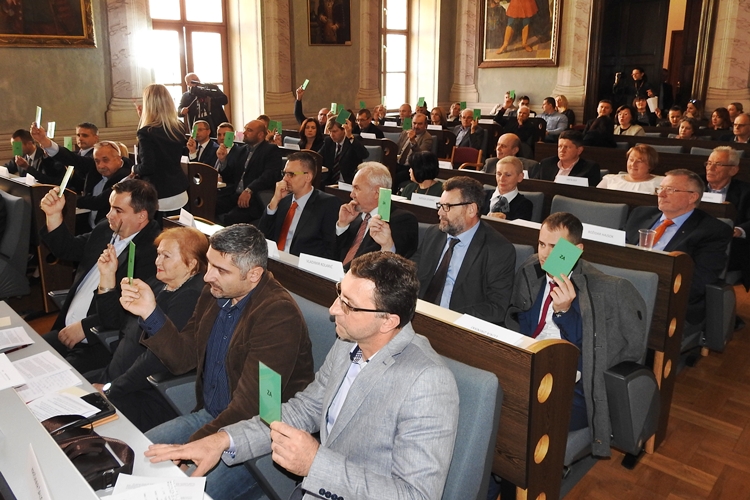 Županijska skupština