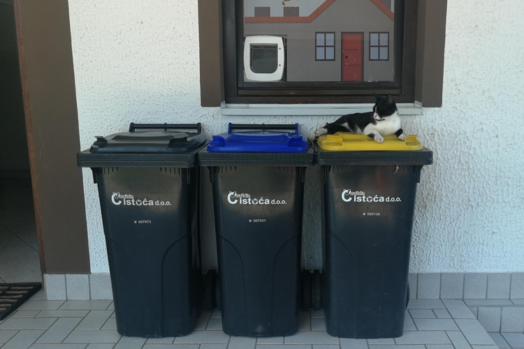 Čistoća