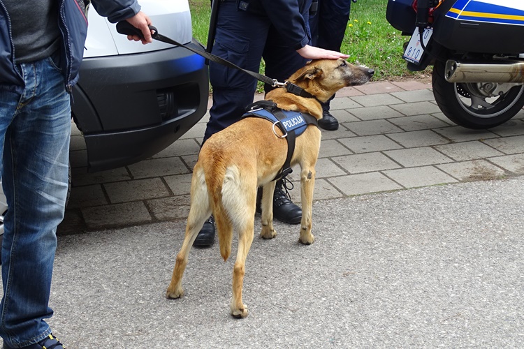 policija (23)