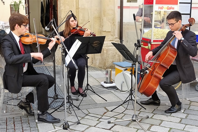 Varaždinska županija