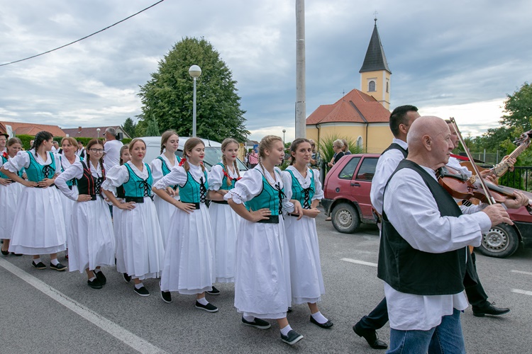 svibovec (17)