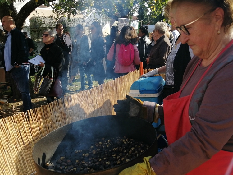 LAG Međimurski doli bregi