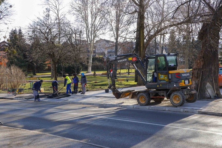 park ivanec005