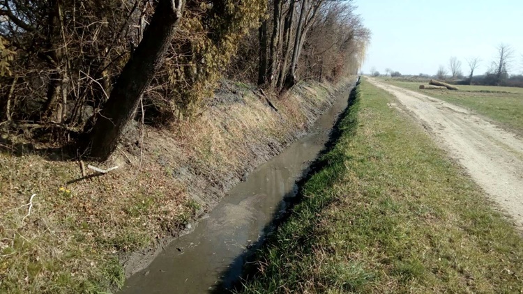 vinica-cesta-kanal (1)